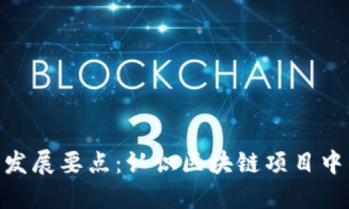 Tokenim的发展要点：认识区块链项目中的关键因素