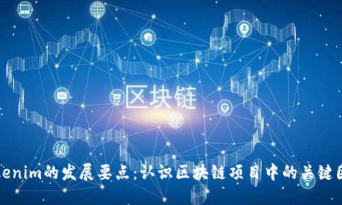 Tokenim的发展要点:认识区块链项目中的关键因素