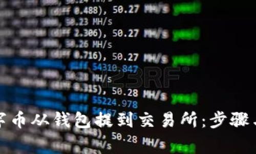 如何将数字币从钱包提到交易所：步骤与注意事项