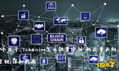 在这里，我将为您提供一个关于“Tokenim怎么设置密钥”的文章大纲、以及相关关键词的想法。

如何在Tokenim中设置密钥：详细指南