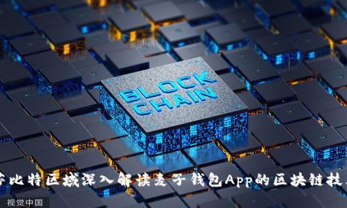 莎比特区域深入解读麦子钱包App的区块链技术