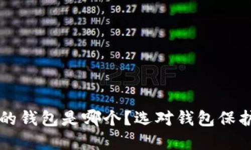 区块链最安全的钱包是哪个？选对钱包保护你的数字资产