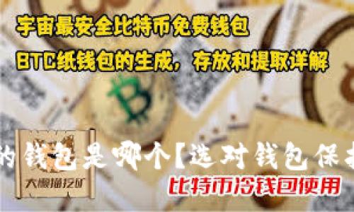 区块链最安全的钱包是哪个？选对钱包保护你的数字资产