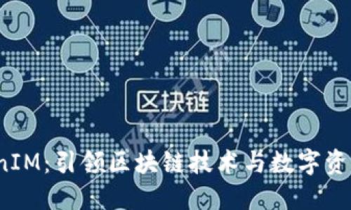  江苏TokenIM：引领区块链技术与数字资产的新潮流