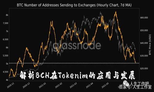 解析BCH在Tokenim的应用与发展