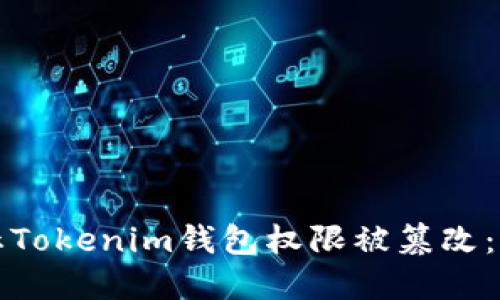 如何防止Tokenim钱包权限被篡改：全面指南