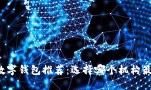 开通数字钱包推荐：选择哪个机构最靠谱？