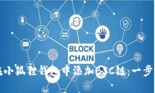 如何在小狐狸钱包中添加BSC链：一步步指南