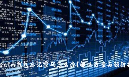 TokenIm钱包忘记密码怎么办？解决方案与预防措施