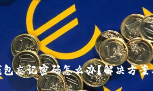 TokenIm钱包忘记密码怎么办？解决方案与预防措施