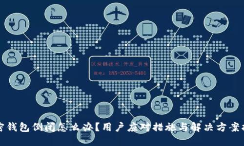 加密钱包倒闭怎么办？用户应对措施与解决方案指南