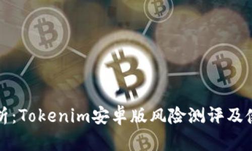 全面解析：Tokenim安卓版风险测评及使用指南