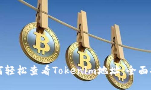 如何轻松查看Tokenim地址：全面指南