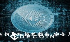 Tokenim私钥导入格式指南：