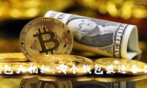 虚拟币钱包大揭秘：哪个钱包最适合你的需求？