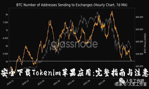 如何安全下载Tokenim苹果应用：完整指南与注意事项