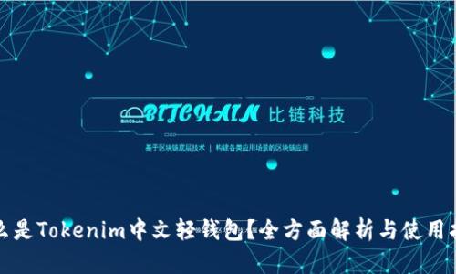 什么是Tokenim中文轻钱包？全方面解析与使用指南