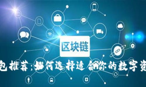 数字货币钱包推荐：如何选择适合你的数字资产管理工具