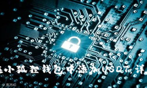 如何在小狐狸钱包中添加USDT：详尽指南
