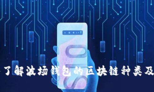 深入了解波场钱包的区块链种类及应用