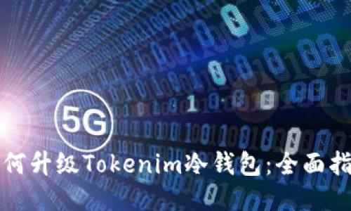 如何升级Tokenim冷钱包：全面指南