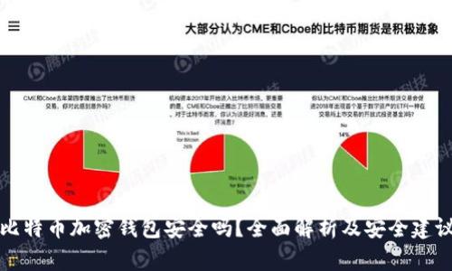 比特币加密钱包安全吗？全面解析及安全建议