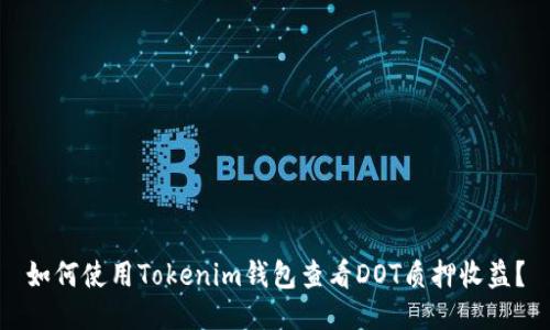如何使用Tokenim钱包查看DOT质押收益？