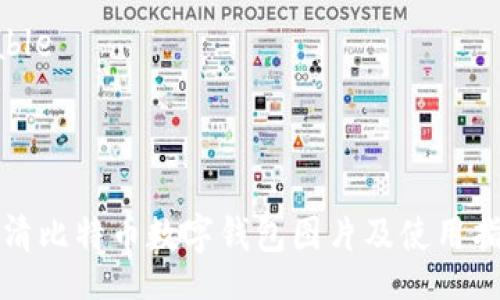 table
tr
td

高清比特币数字钱包图片及使用指南