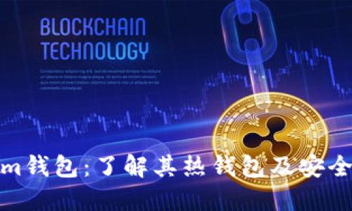 Tokenim钱包：了解其热钱包及安全性详解