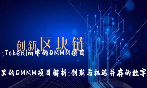 项目介绍：Tokenim中的DMMM项目

Tokenim里的DMMM项目解析：创新与机遇并存的数字资产新星