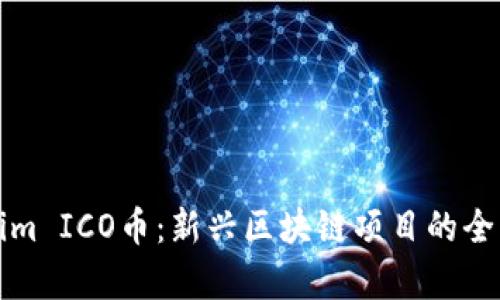 Tokenim ICO币：新兴区块链项目的全面解析