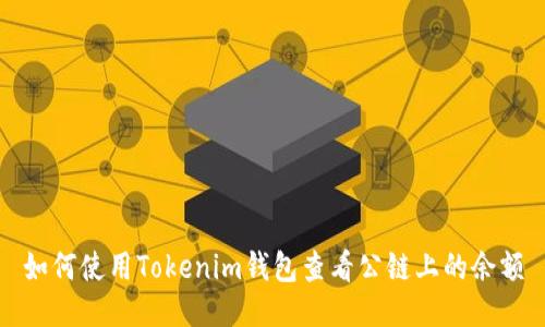 如何使用Tokenim钱包查看公链上的余额