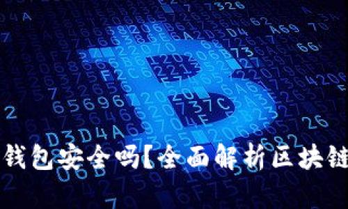 区块链小金库钱包安全吗？全面解析区块链钱包的安全性
