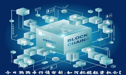 
今日狗狗币行情分析：如何把握投资机会？