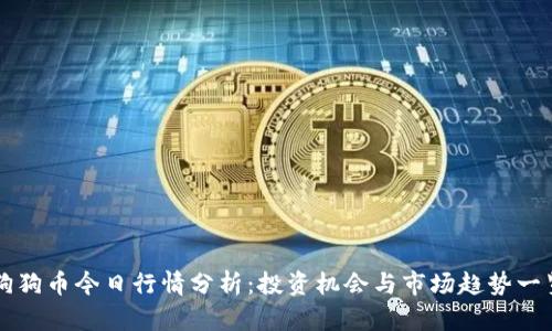 狗狗币今日行情分析：投资机会与市场趋势一览