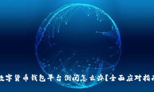 数字货币钱包平台倒闭怎么办？全面应对指南