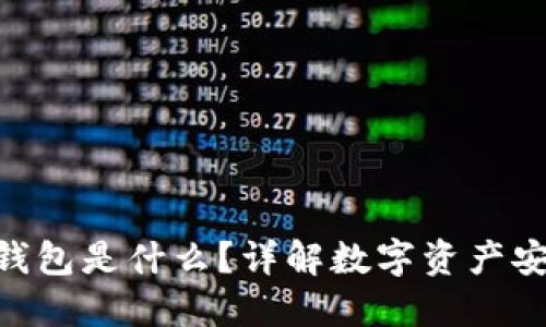 Tokenim的钱包是什么？详解数字资产安全管理工具