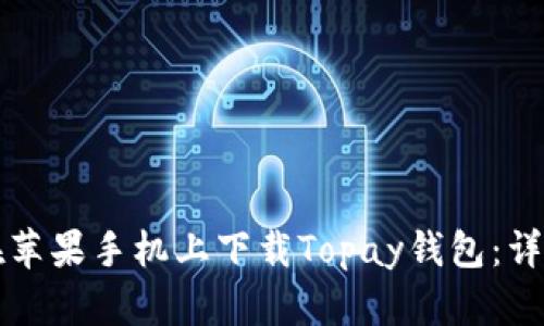 如何在苹果手机上下载Topay钱包：详细指南
