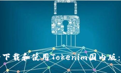如何安全下载和使用Tokenim国内版：全面指南
