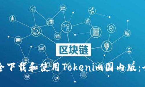 如何安全下载和使用Tokenim国内版：全面指南