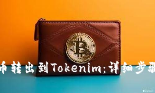 如何将狗狗币转出到Tokenim：详细步骤与注意事项