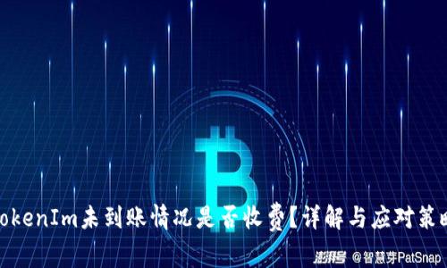 TokenIm未到账情况是否收费？详解与应对策略