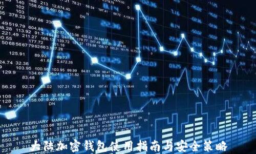 
大陆加密钱包使用指南与安全策略