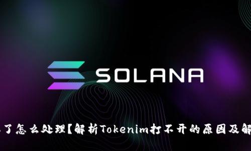 手机坏了怎么处理？解析Tokenim打不开的原因及解决方案