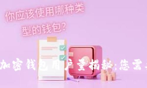 2023年全球加密钱包用户量揭秘：您需要了解的一切