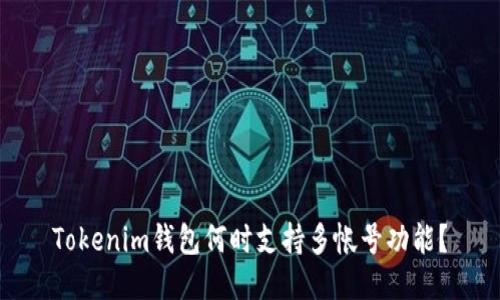Tokenim钱包何时支持多帐号功能？