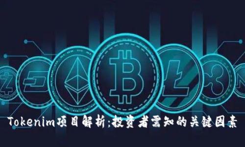 Tokenim项目解析：投资者需知的关键因素
