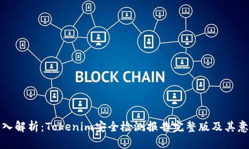 深入解析：Tokenim安全检测报告完整版及其意义