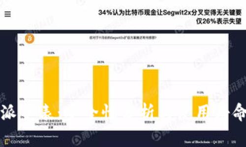 比特派手表：安全性分析与使用寿命详解