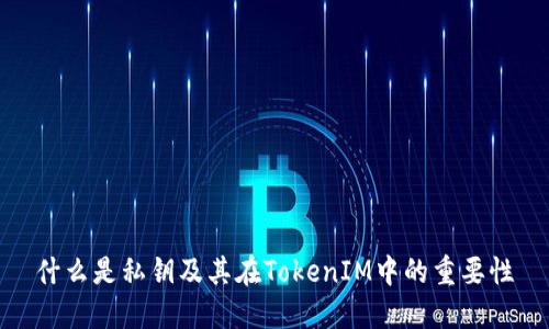 什么是私钥及其在TokenIM中的重要性